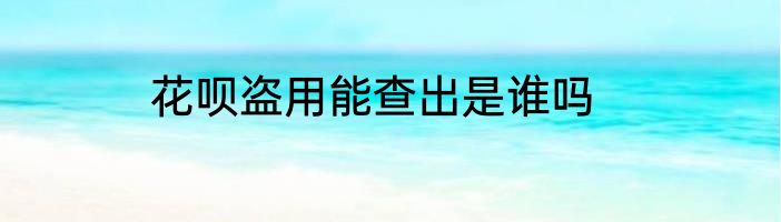花呗盗用能查出是谁吗