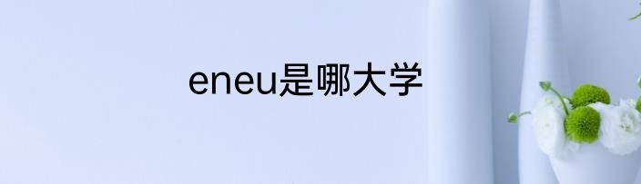 eneu是哪大学