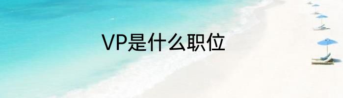 VP是什么职位