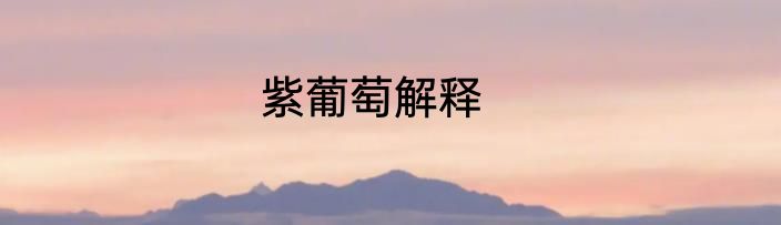 紫葡萄解释