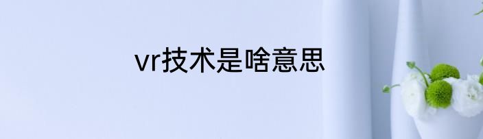 vr技术是啥意思