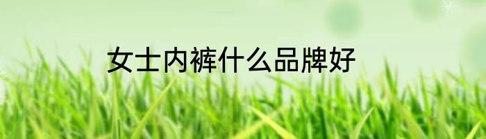 女士内裤什么品牌好