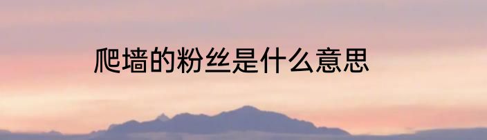 爬墙的粉丝是什么意思