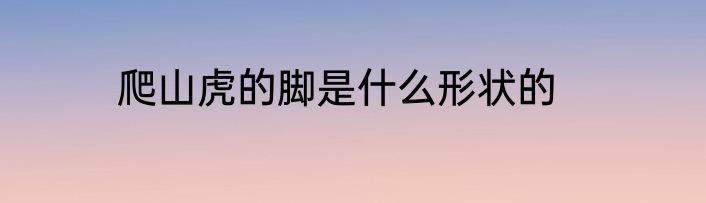 爬山虎的脚是什么形状的