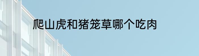 爬山虎和猪笼草哪个吃肉
