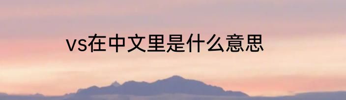 vs在中文里是什么意思