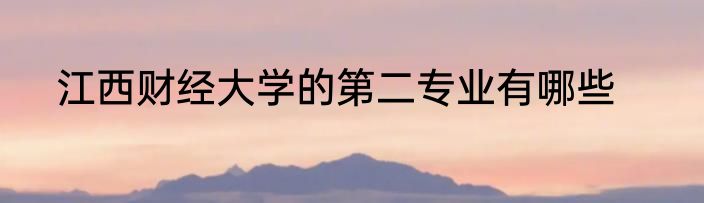 江西财经大学的第二专业有哪些