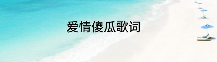 爱情傻瓜歌词