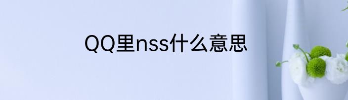 QQ里nss什么意思