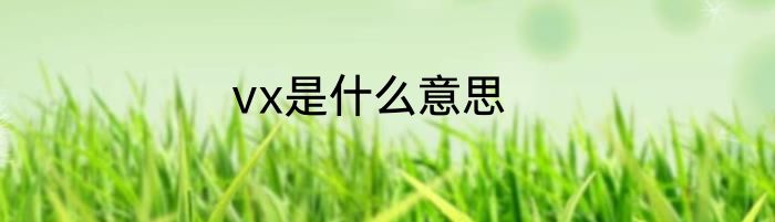 vx是什么意思