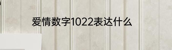 爱情数字1022表达什么