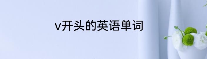v开头的英语单词