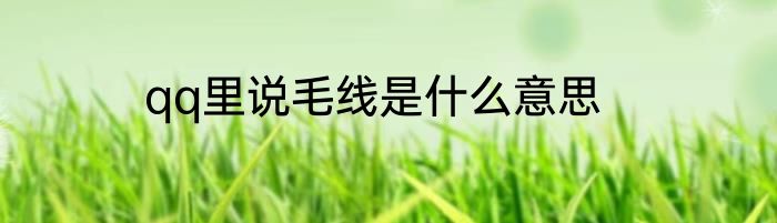 qq里说毛线是什么意思