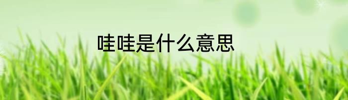 哇哇是什么意思