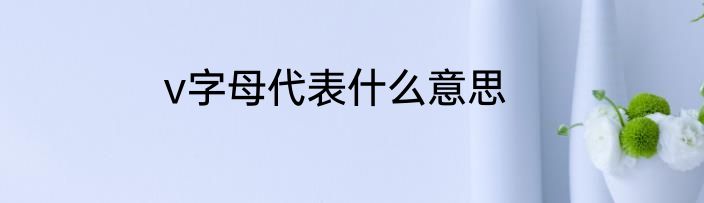 v字母代表什么意思