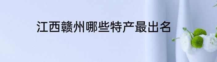 江西赣州哪些特产最出名