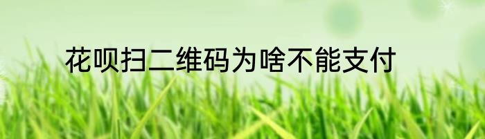 花呗扫二维码为啥不能支付