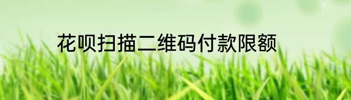 花呗扫描二维码付款限额