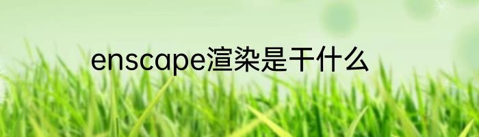 enscape渲染是干什么