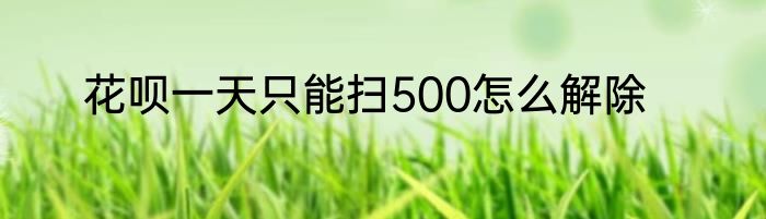 花呗一天只能扫500怎么解除