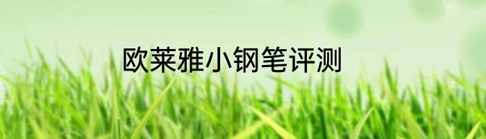 欧莱雅小钢笔评测