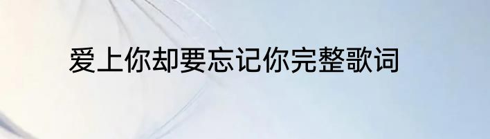 爱上你却要忘记你完整歌词