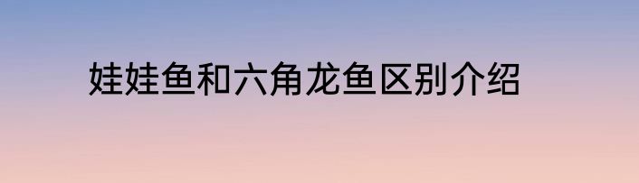 娃娃鱼和六角龙鱼区别介绍