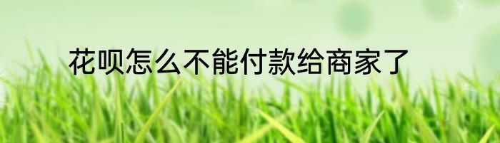 花呗怎么不能付款给商家了