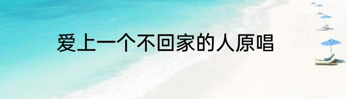 爱上一个不回家的人原唱