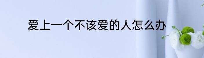 爱上一个不该爱的人怎么办