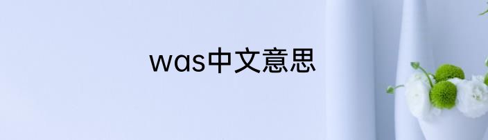 was中文意思