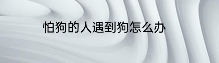 怕狗的人遇到狗怎么办