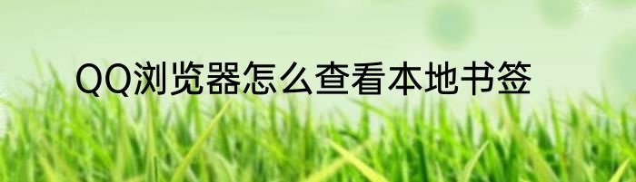 QQ浏览器怎么查看本地书签