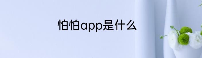 怕怕app是什么