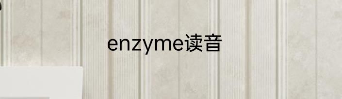 enzyme读音