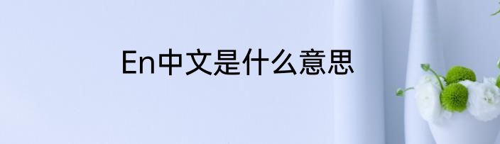 En中文是什么意思