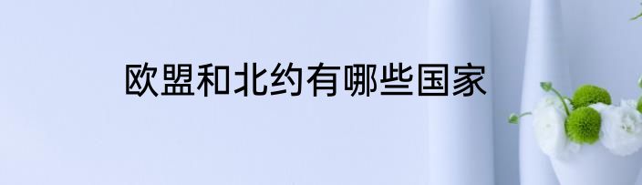 欧盟和北约有哪些国家