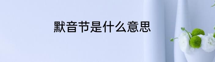 默音节是什么意思