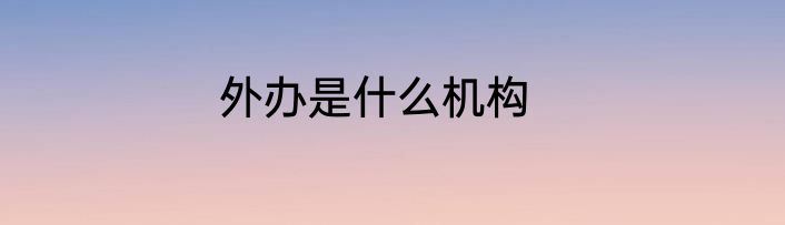 外办是什么机构
