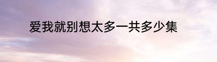 爱我就别想太多一共多少集