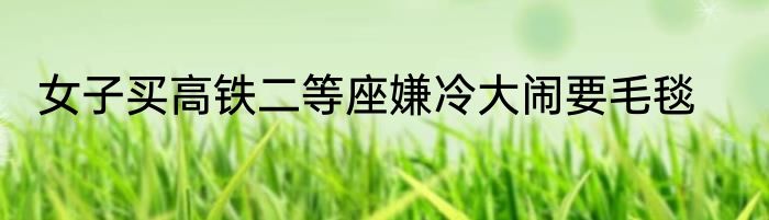 女子买高铁二等座嫌冷大闹要毛毯