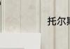 托尔斯泰传介绍