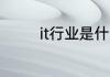 it行业是什么工作做什么的