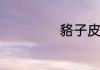 貉子皮多少钱一张