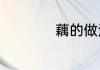 藕的做法大全家常菜