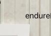 endure的名词是什么