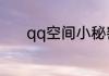 qq空间小秘密里的私信怎么发