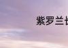 紫罗兰长的什么样子
