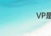 VP是什么职位