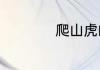 爬山虎的脚长什么样